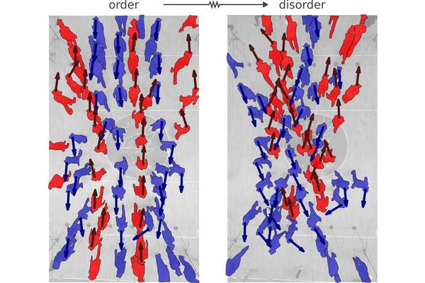 Unveiling the Science of Pedestrian Crossings: Understanding the Factors That Lead to Traffic Chaos