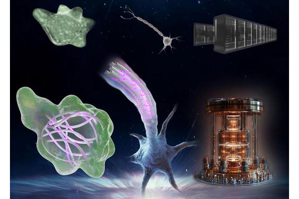 Howard University Physicist Explores the Computational Boundaries of Life and Schrödinger’s Fundamental Inquiry in the Quantum Computing Age