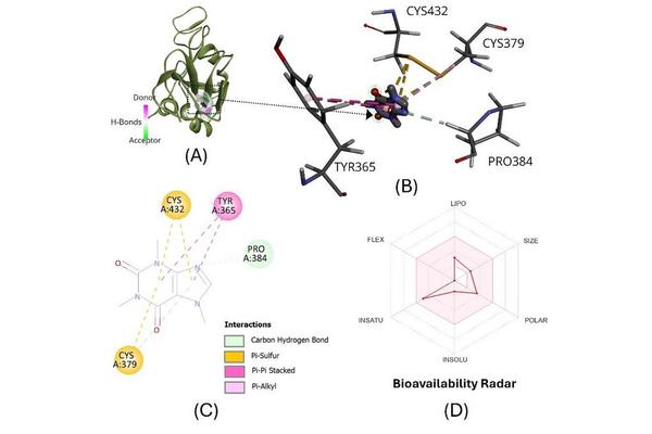 Leveraging Computational Methods to Discover Natural Products Against SARS-CoV-2