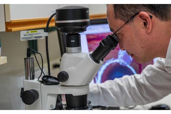 Breakthrough Method Connects Young Cancer Patients with Optimal Drug Treatments