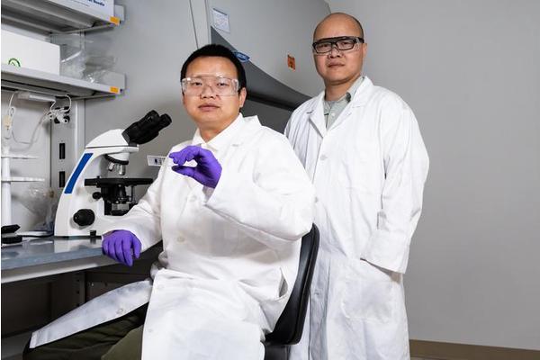 Breakthrough in RNA-Editing Proteins: A Promising Step Towards Enhanced Cancer and Autoimmune Disease Treatments