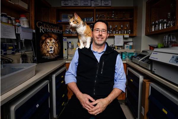 Texas A&M’s William Murphy Honored as 2025 SEC Professor of the Year