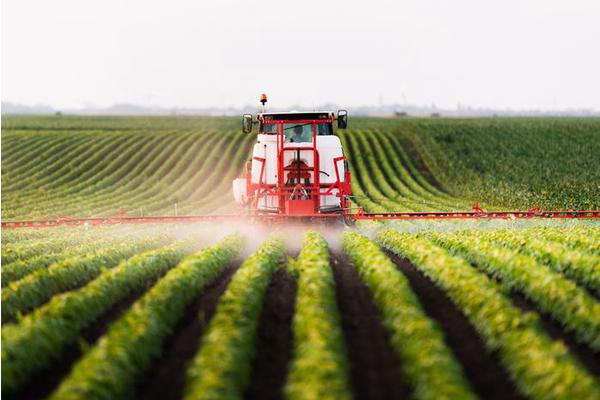MIT Engineers Unveil Innovative Technology to Enhance Pesticide Adherence on Plant Leaves