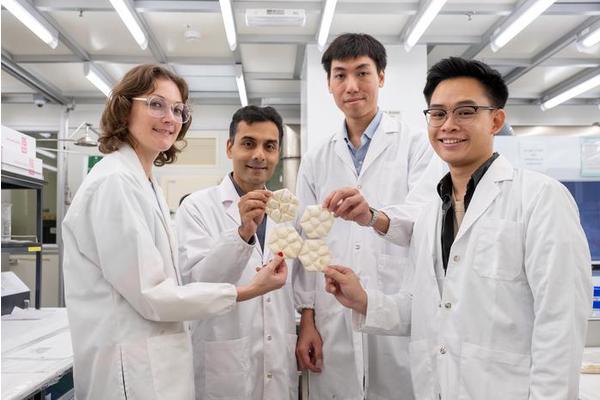 NTU Singapore Researchers Develop ‘Fungi Tiles’ with Elephant Skin-Like Texture for Building Cooling Solutions