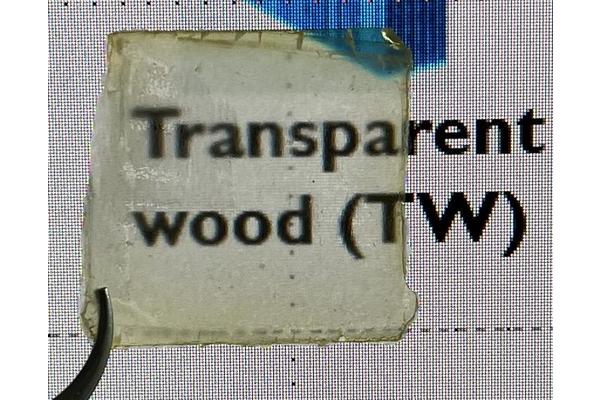 Creating Durable, Semi-Transparent Wood Using Affordable, Natural Materials