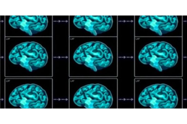 Infants Form Brief Hippocampal Memories, Study Reveals