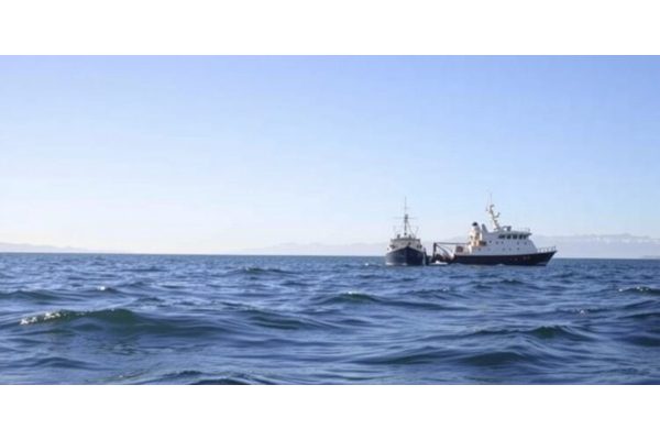 Pew Supports Scientists Across Five Nations to Propel Marine Conservation Efforts