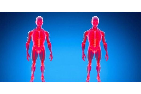 Revolutionary Fabrication Technique Powers Up Artificial Muscles