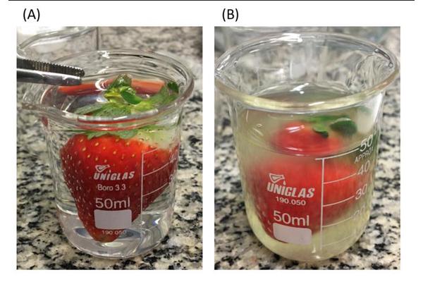 Pomegranate Peel Extract Biofilm Significantly Prolongs Strawberry Shelf Life
