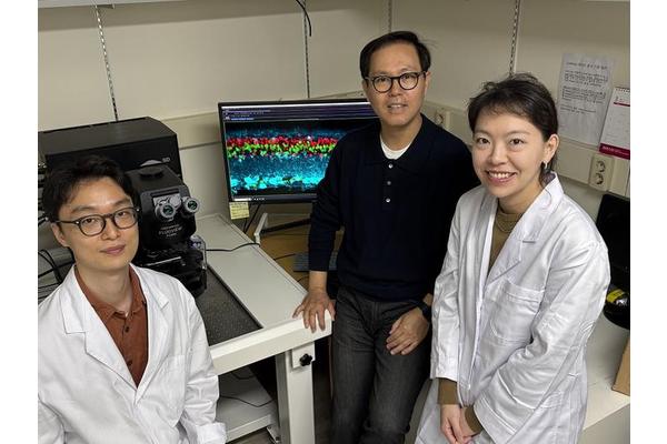 KAIST Pioneers Innovative Retinal Therapy to Restore Vision Loss