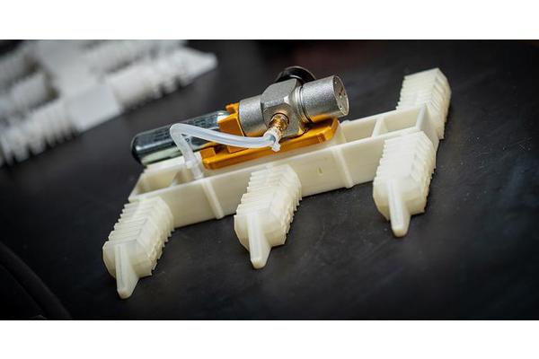 Exploring the Future: Electronics-Free Robots Crafted Directly from 3D Printers