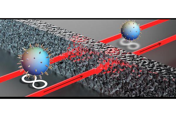 Wits Researchers Discover Method to Protect Quantum Information from Noise Disruption
