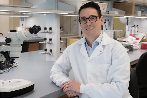 Enhancing Stability in Bioelectronic Materials for Medical Implants, Computing, and Biosensors Through Chance Discovery