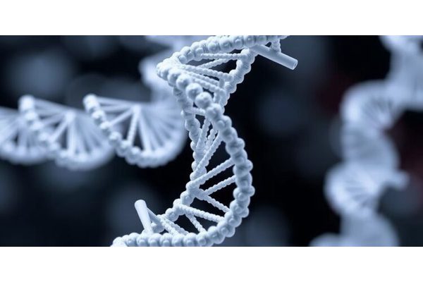 RNA Origami: Engineering Artificial Cytoskeletons for Synthetic Cell Construction