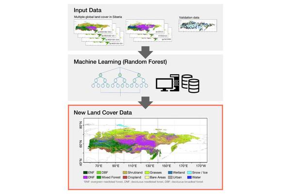 Advancing Climate Science: Enhanced Land Cover Data for Siberia