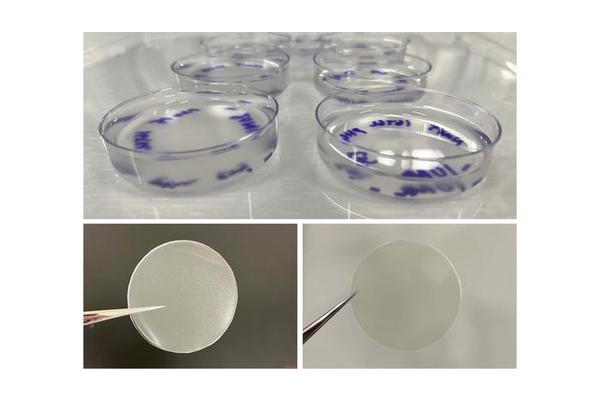 Advancement in Plant-Based Gelatin: A Significant Breakthrough