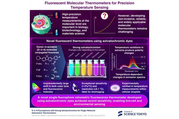 Revolutionary Color-Changing Fluorescent Dyes Pave the Way for Advanced Cellular Thermosensing