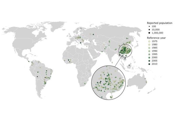 Study Reveals Large Segment of Rural Population Overlooked in Global Estimates