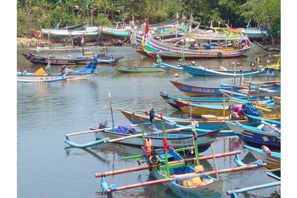 Small-Scale, Multispecies Capture Boosts Fisheries in Southeast Asia