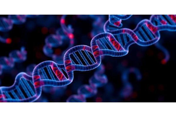 New Research Reveals Crucial Impact of RNA Modifications on Prostate Cancer Development