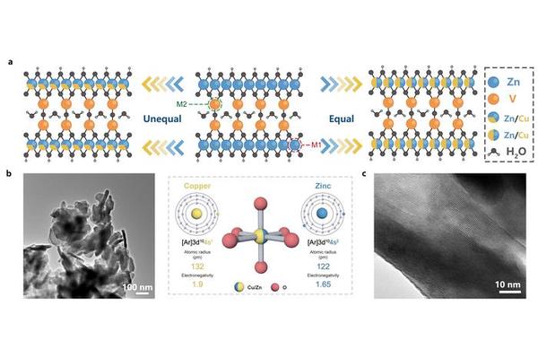 Refining Zinc-Centered Materials: How Copper Neighbors Enhance Calcium-Ion Hosting