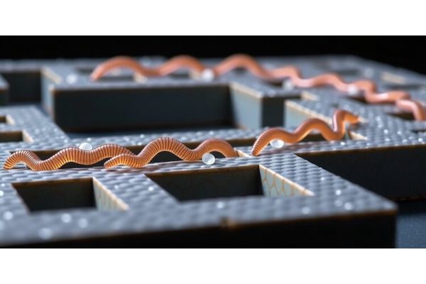 Polymer Worms Navigate Complex Mazes with Grace