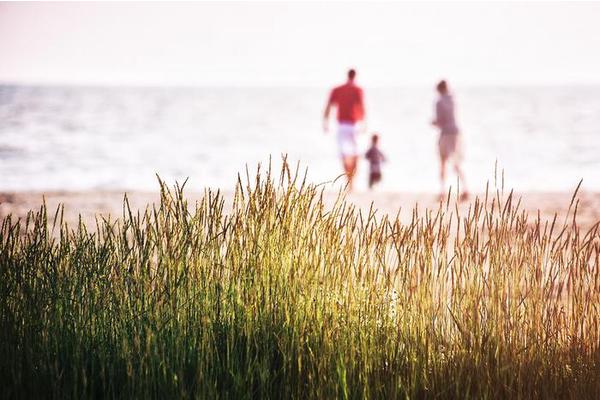 New Research Explores European Perspectives on Voluntary Childlessness