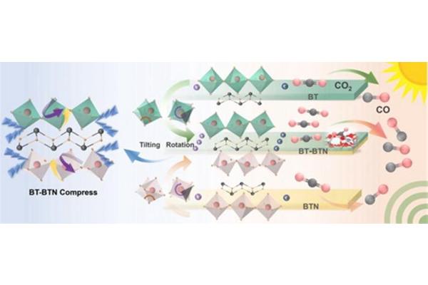 Structural Optimization in Piezo-Photocatalysis Boosts Ferroelectric Polarization