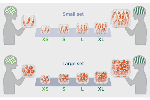 Exploring the Brain’s Adaptive Mechanisms for Representing a Variety of Numbers