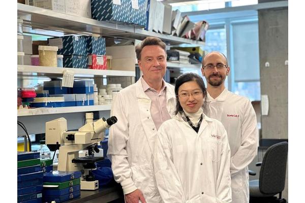 McGill University Breakthrough Illuminates Understanding of Autism and Intellectual Disabilities