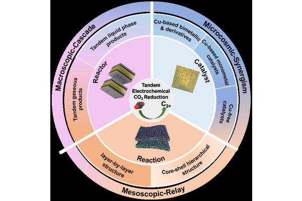 Integrative Approach for Electrocatalyst and Reactor Design Enhances Electrochemical CO2 Reduction