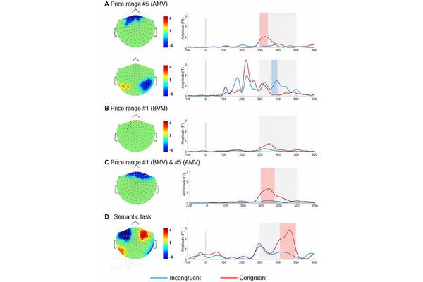 New Discoveries Unveil Brain’s Neural Markers Linked to Price Perception