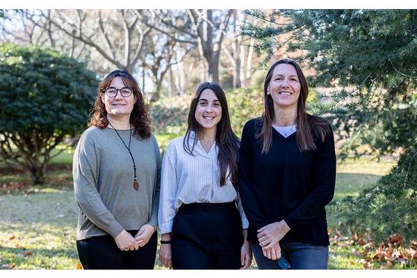 Innovations in Combating Food Fraud: Safeguarding the Integrity of Virgin Olive Oil and Pine Nuts