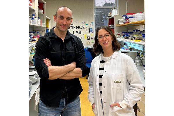 Newly Identified Mechanism: Glutamate Sparks Rapid Liver Regeneration