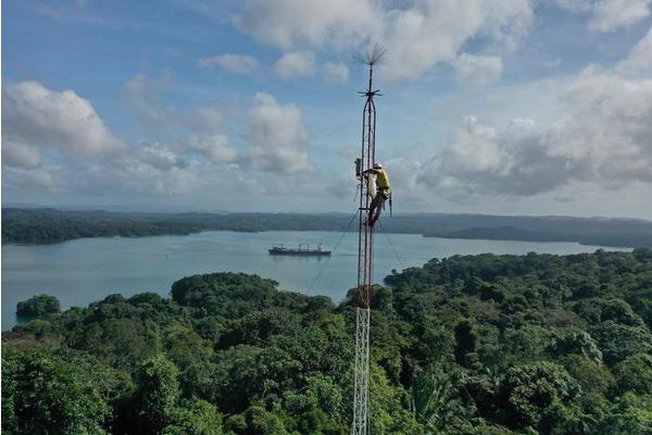 Lightning Strikes: A Surprising Benefit for Tropical Trees