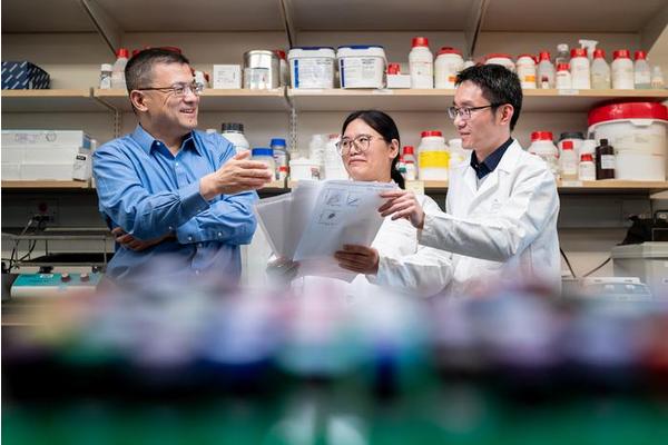 Eliminating a Protein ‘Signal Jammer’ Enhances Immunotherapy Effectiveness