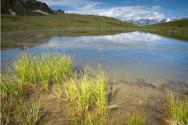 Land’s Carbon Reservoirs: Soil and Water as Key Storage Solutions