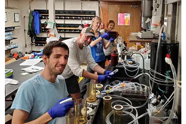 Microbial Interactions Navigate the High Seas: Unveiling Oceanic Ecosystems