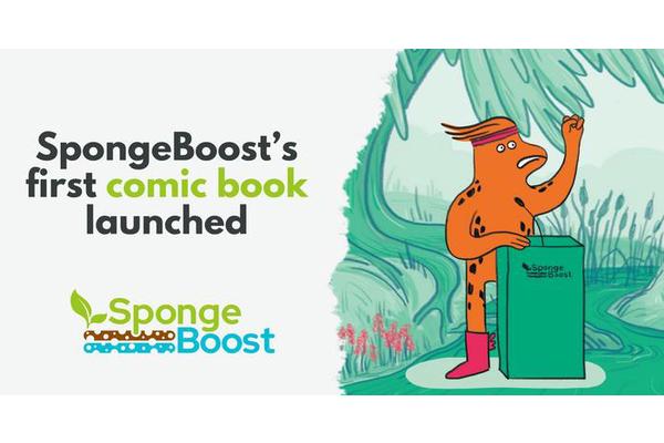SpongeBoost: A Comic Book Journey into Wetland Sponge Functions