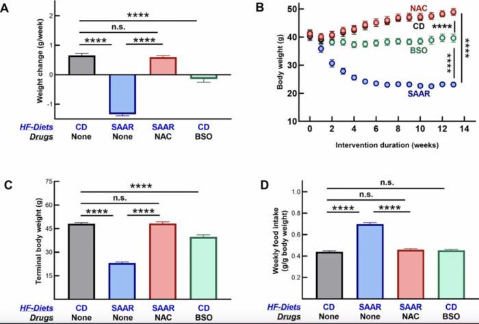 Pharmacological recapitulation of the lean phenotype induced by the lifespan-extending sulfur amino acid-restricted diet