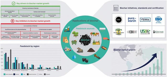 Sustainable biochar: Market development and commercialization to achieve ESG goals