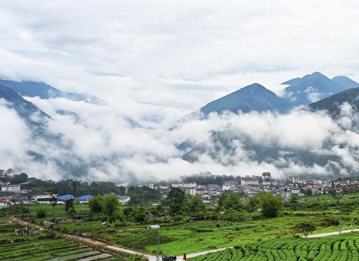 Medog County in July, on the southern slope of the Qinghai-Tibet Plateau
