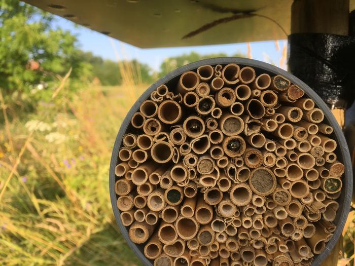 Artificial nests