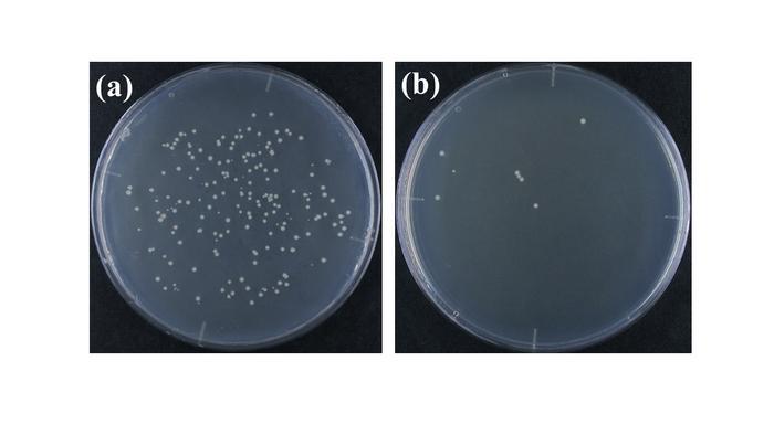 DoseRate & Sterility