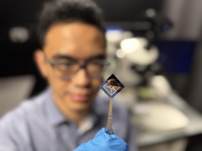Researcher inspects the team's neuromorphic vision device