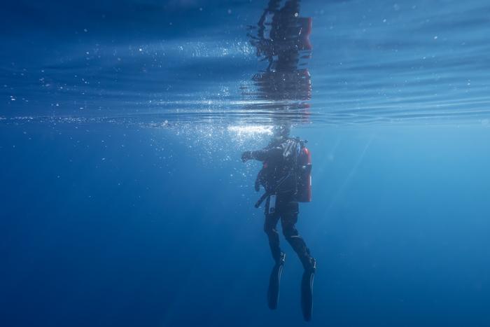 Lake Tahoe diver