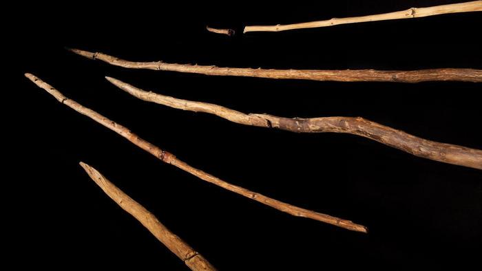 Schöningen spears