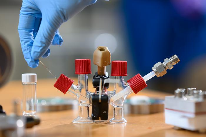 Liquid Sodium Fuel Cell
