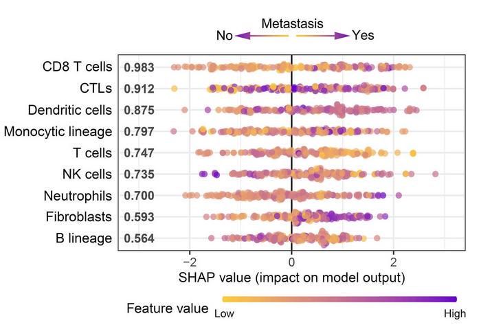The importance of immune cell types in the XGBoost model.