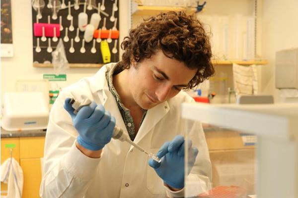 New Study Uncovers How Algal Competition is Reshaping the Gulf of Maine